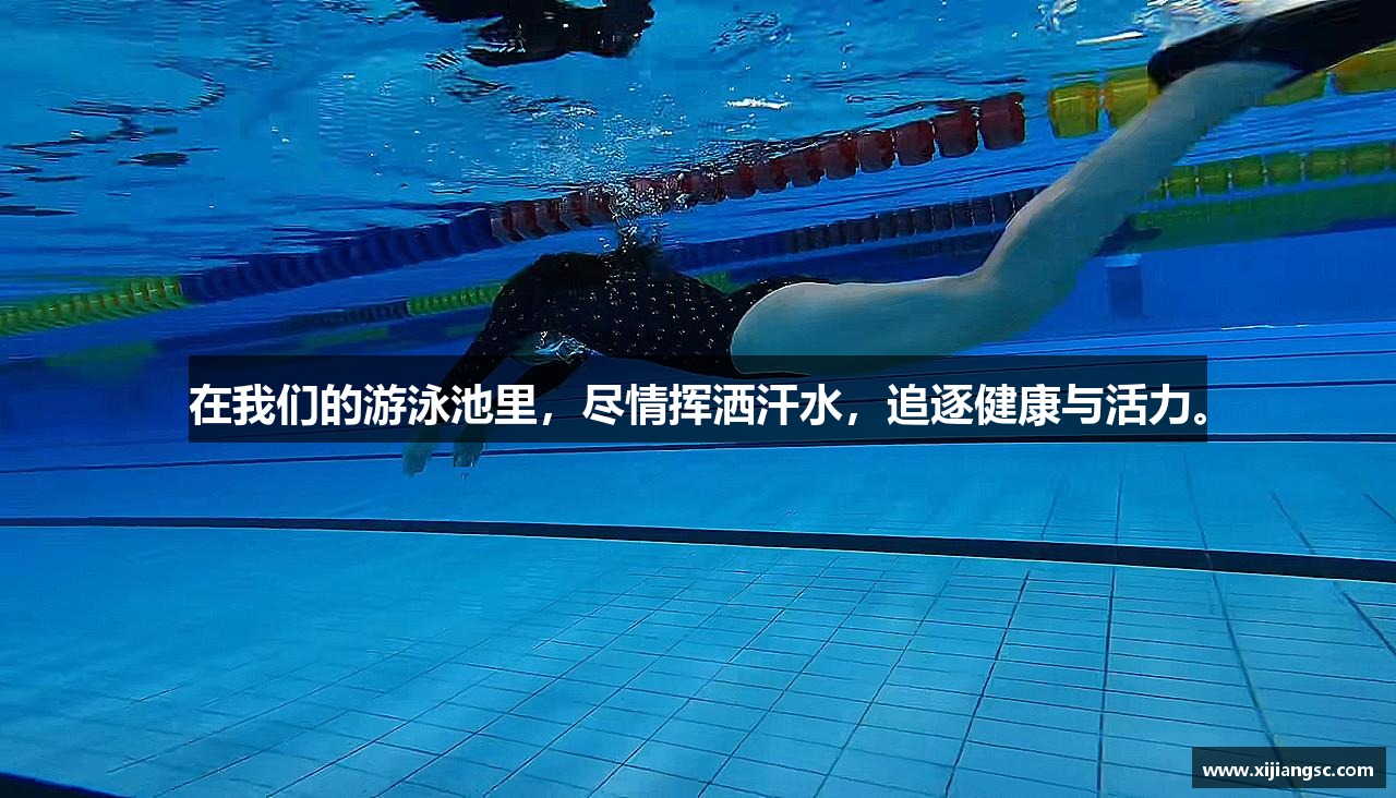 在我们的游泳池里，尽情挥洒汗水，追逐健康与活力。